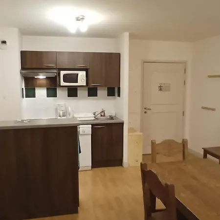 Grand Loft Ideal Pour Les Familles Daire Ustou